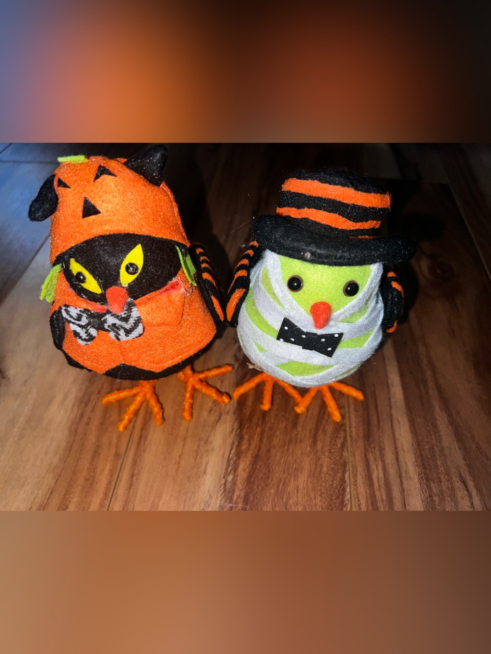 Bird Halloween Decorations